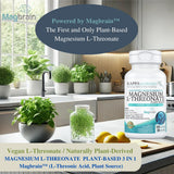 Kappa Nutrition Magnesio L-Treonato: caja exterior y branding visible