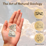 Karma Gems Jasper Fósil, roca decorativa para fuente o acento de mesa.