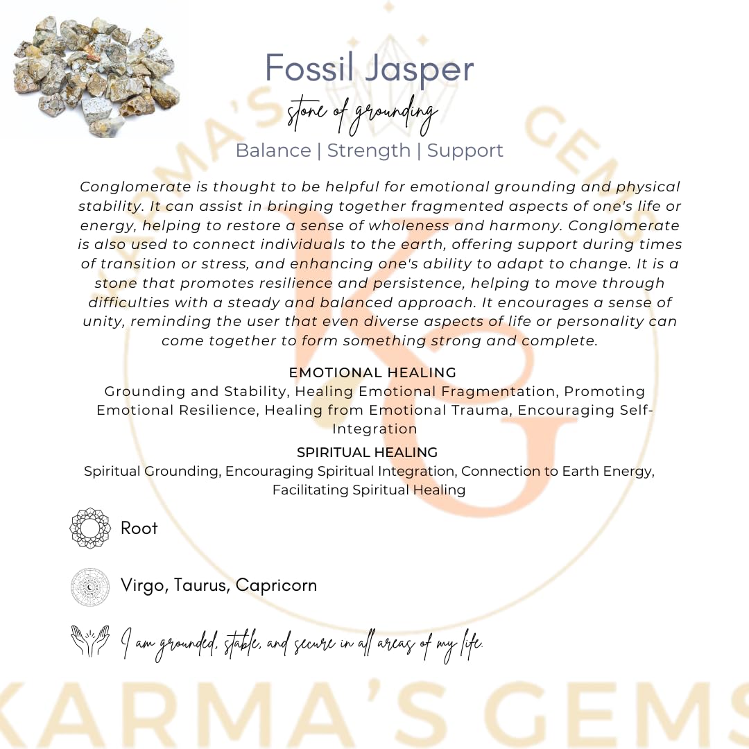 Karma Gems Jasper Fósil, regalo perfecto para amantes de la geología.
