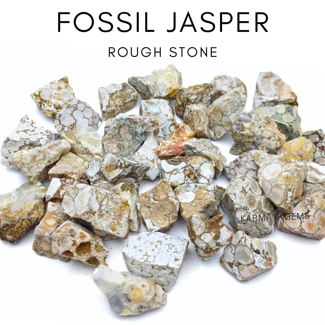 Karma Gems Jasper Fósil, tamaño 1 pulgada, ideal para tallado y acabado.