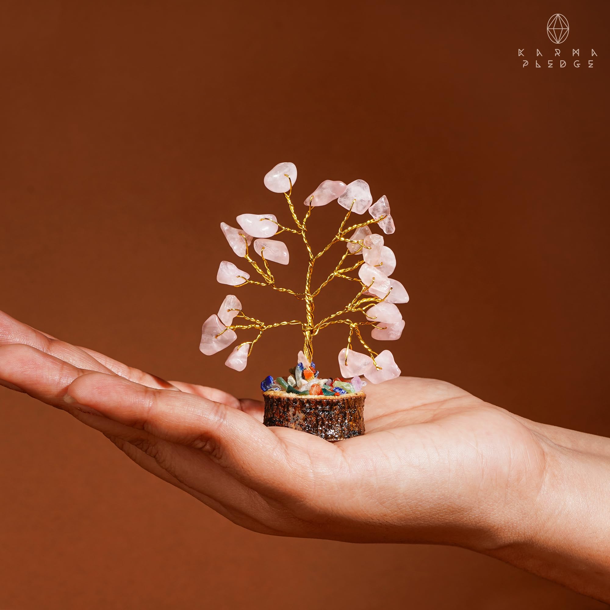 KARMAPLEDGE regalo-aniversario-arbol: opción de regalo memorable para seres queridos.