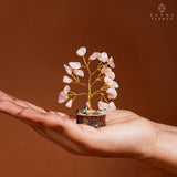 KARMAPLEDGE regalo-aniversario-arbol: opción de regalo memorable para seres queridos.