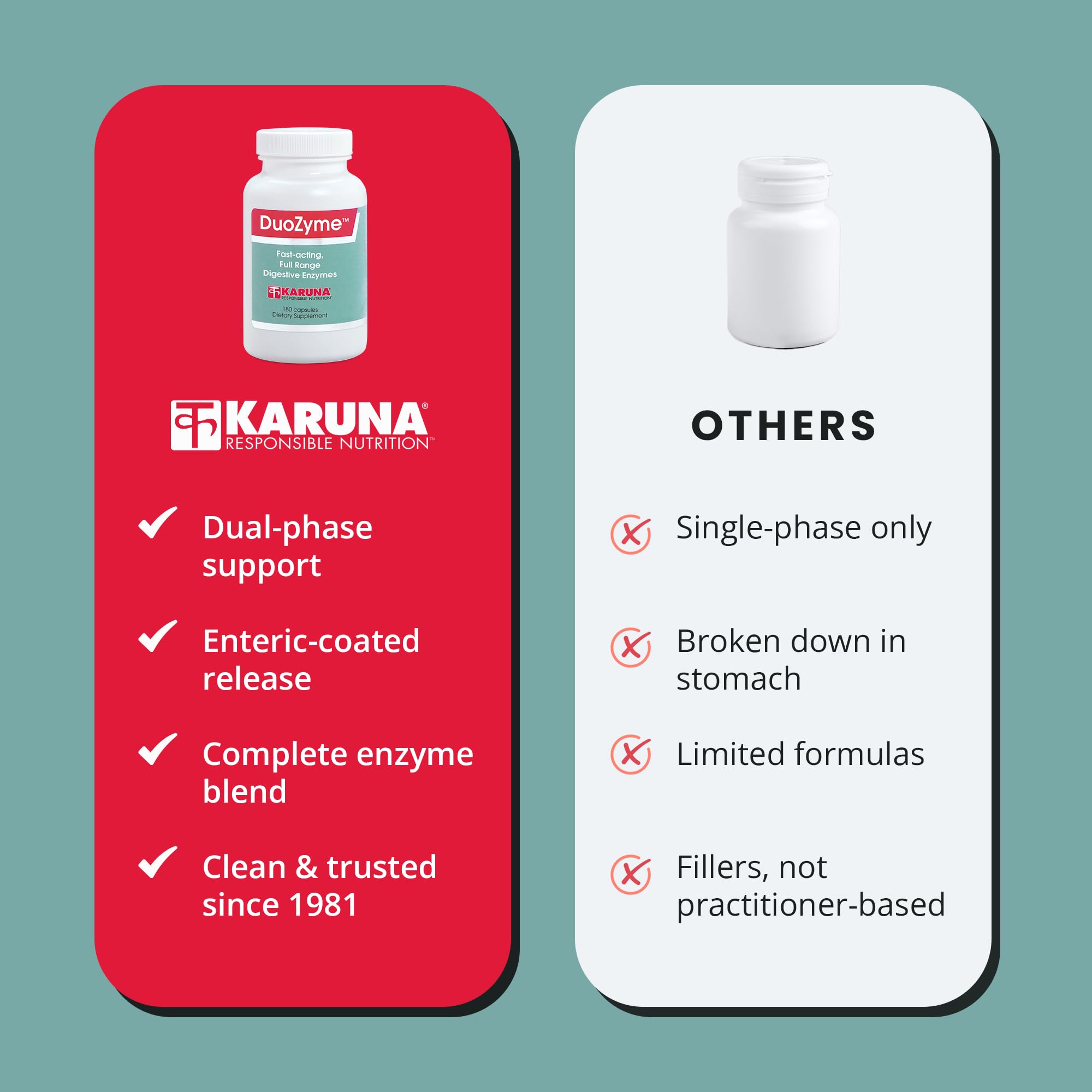 Karuna DuoZyme: digestivo ilustración para explicar enzimas y sales biliares.