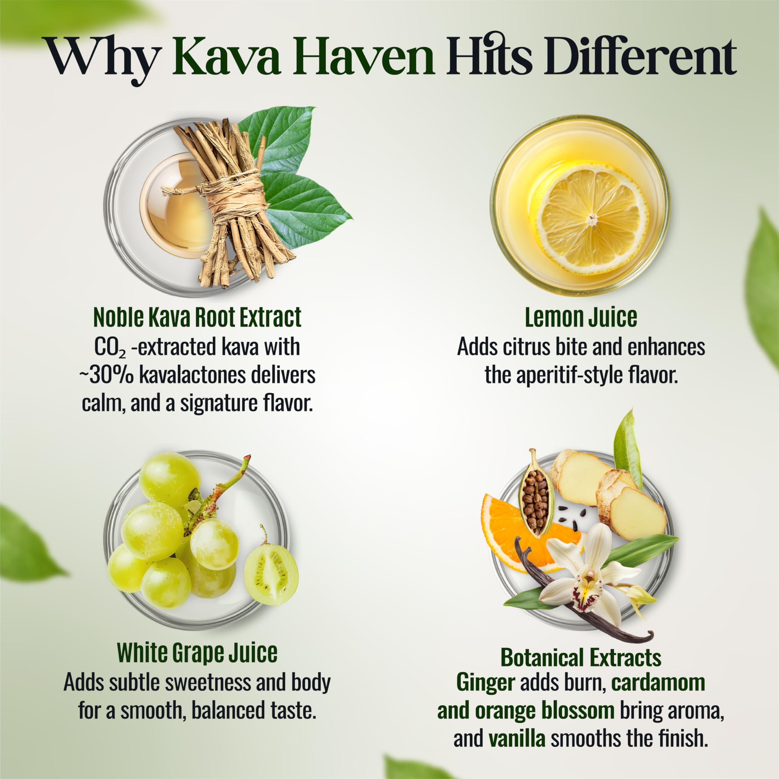 Kava Haven botella en primer plano resalta el aroma cítrico.
