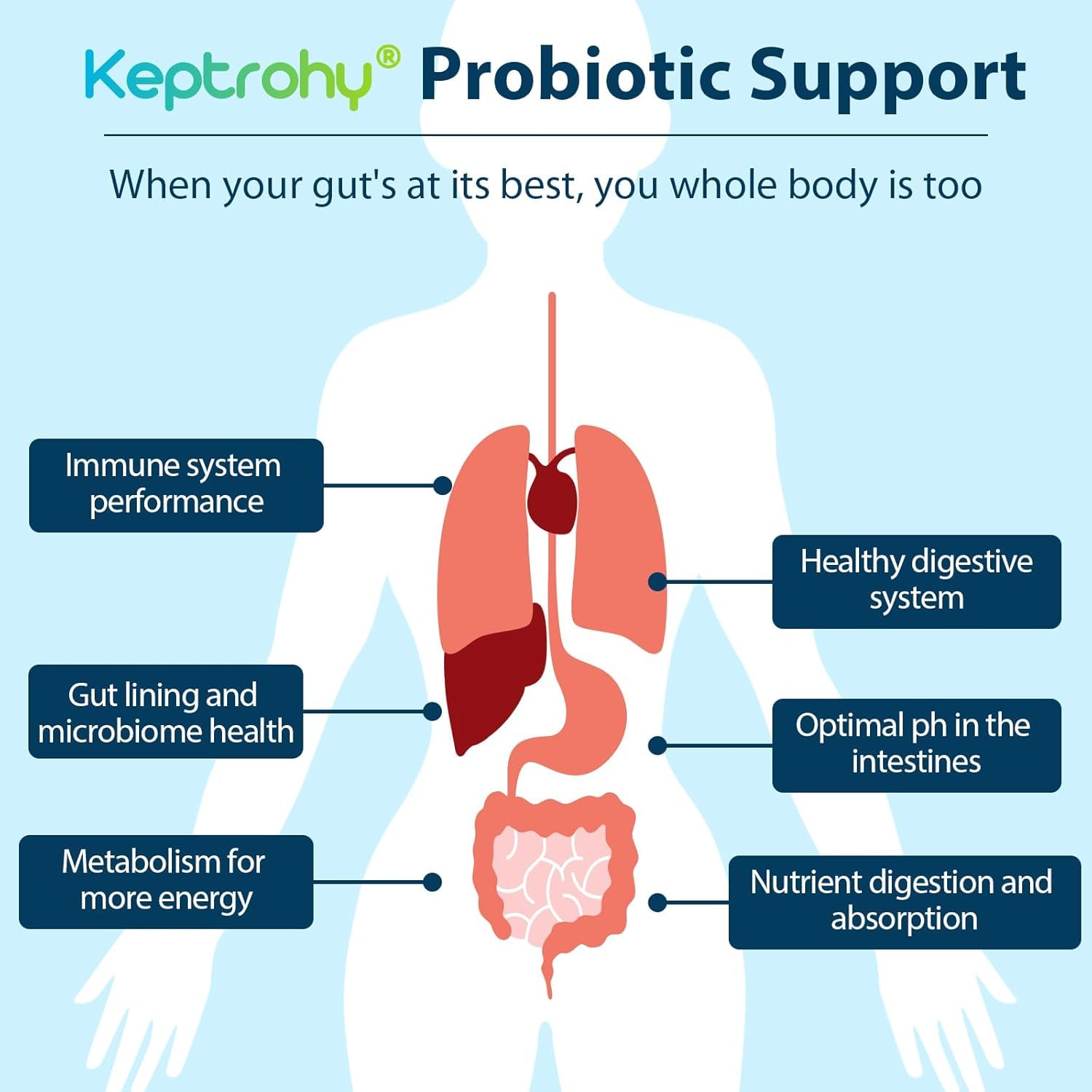 Keptrohy Probióticos: doce cepas para diversidad y equilibrio intestinal