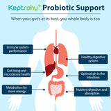 Keptrohy Probióticos: doce cepas para diversidad y equilibrio intestinal