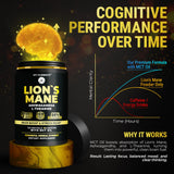 KEY ELEMENTS ashwaganda y L-teanina, mezcla natural para enfoque suave