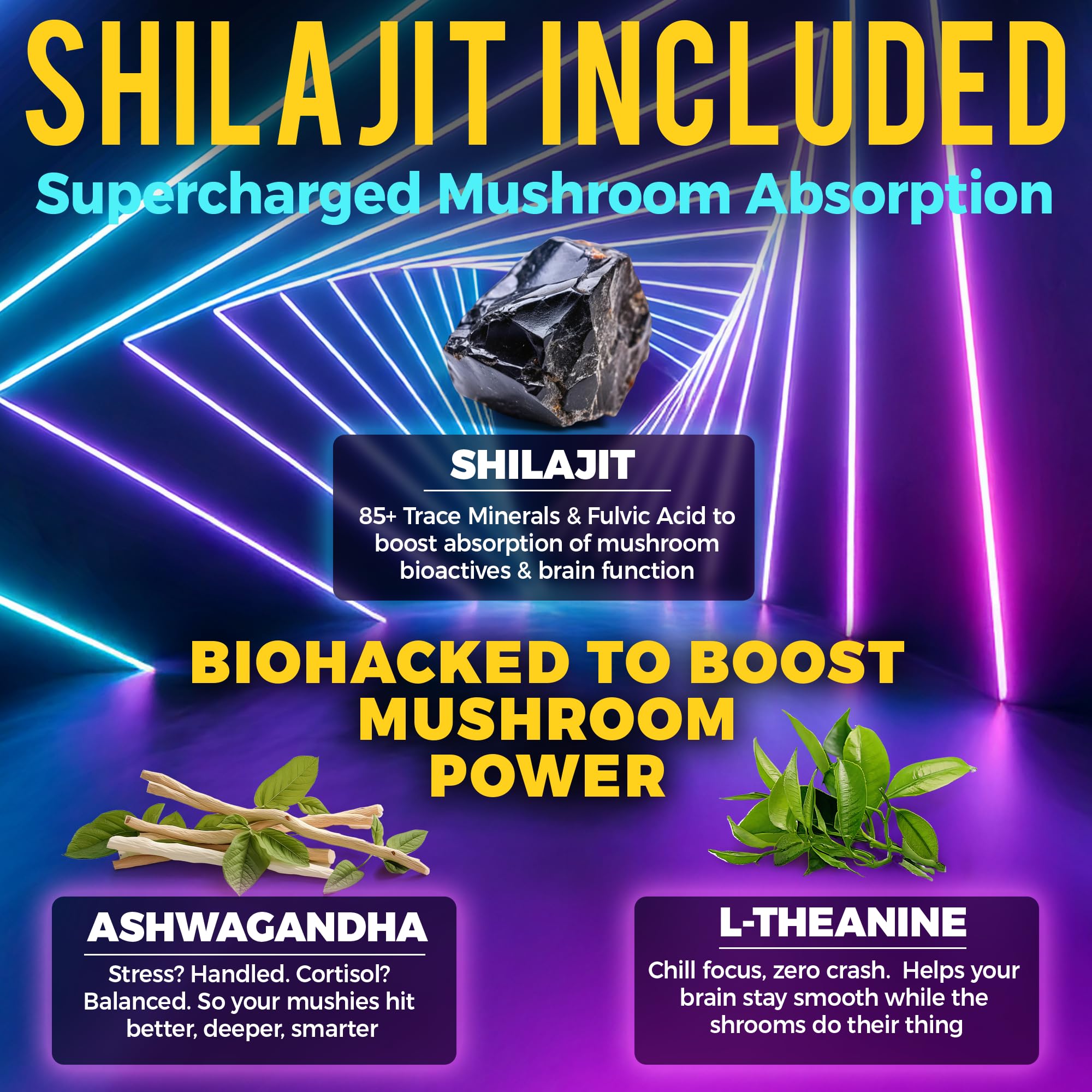 Key Elements shilajit – mayor absorción de activos para rendimiento sostenido