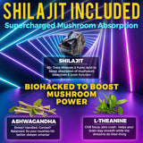 Key Elements shilajit – mayor absorción de activos para rendimiento sostenido