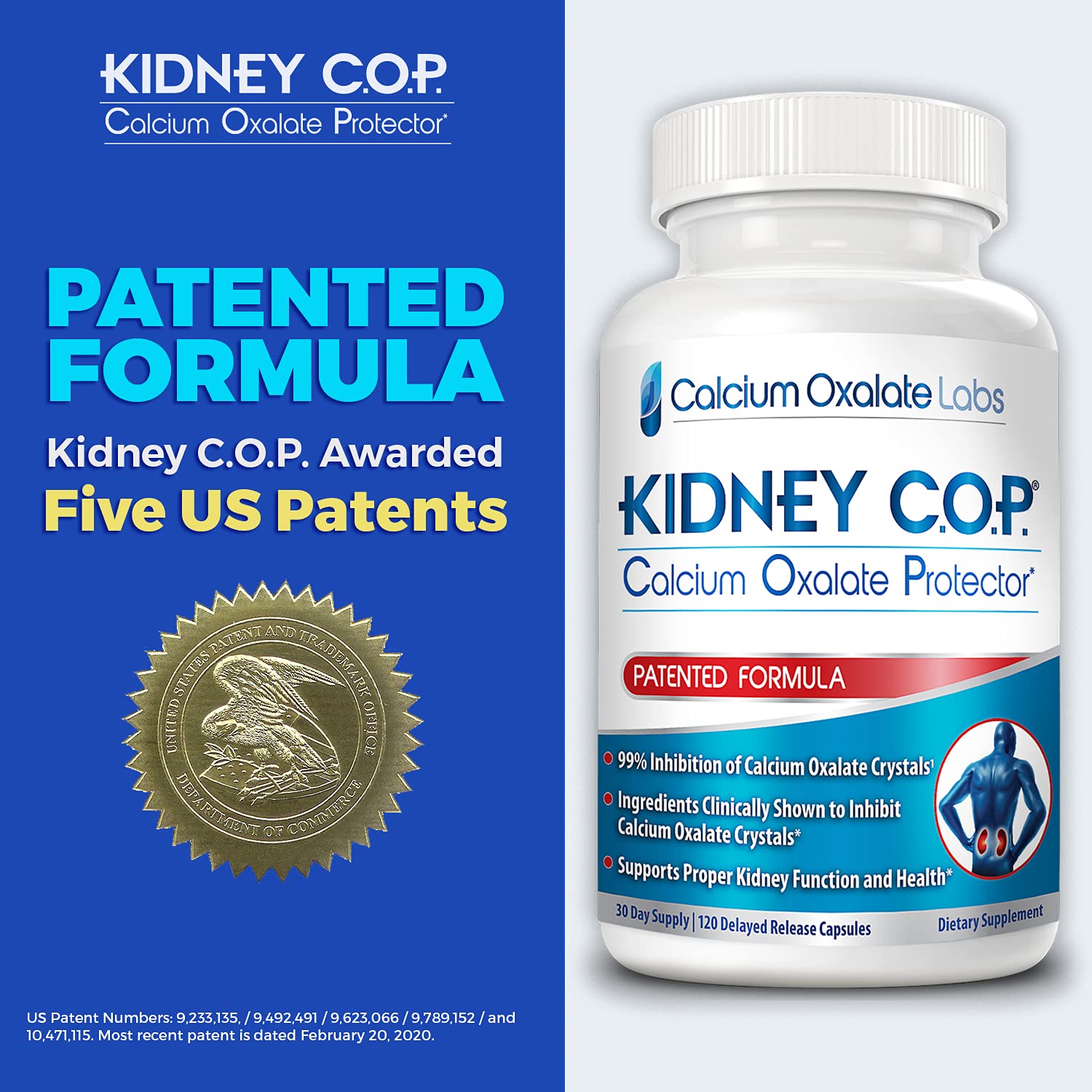KIDNEY C.O.P. caja-empaque: empaque exterior robusto con 120 cápsulas para temporada.
