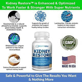 Kidney Restore: mezcla de ingredientes para soporte renal natural