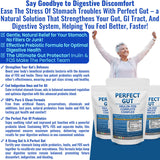 Kidney Restore Perfect Gut, taza con bebida para una ingesta diaria.