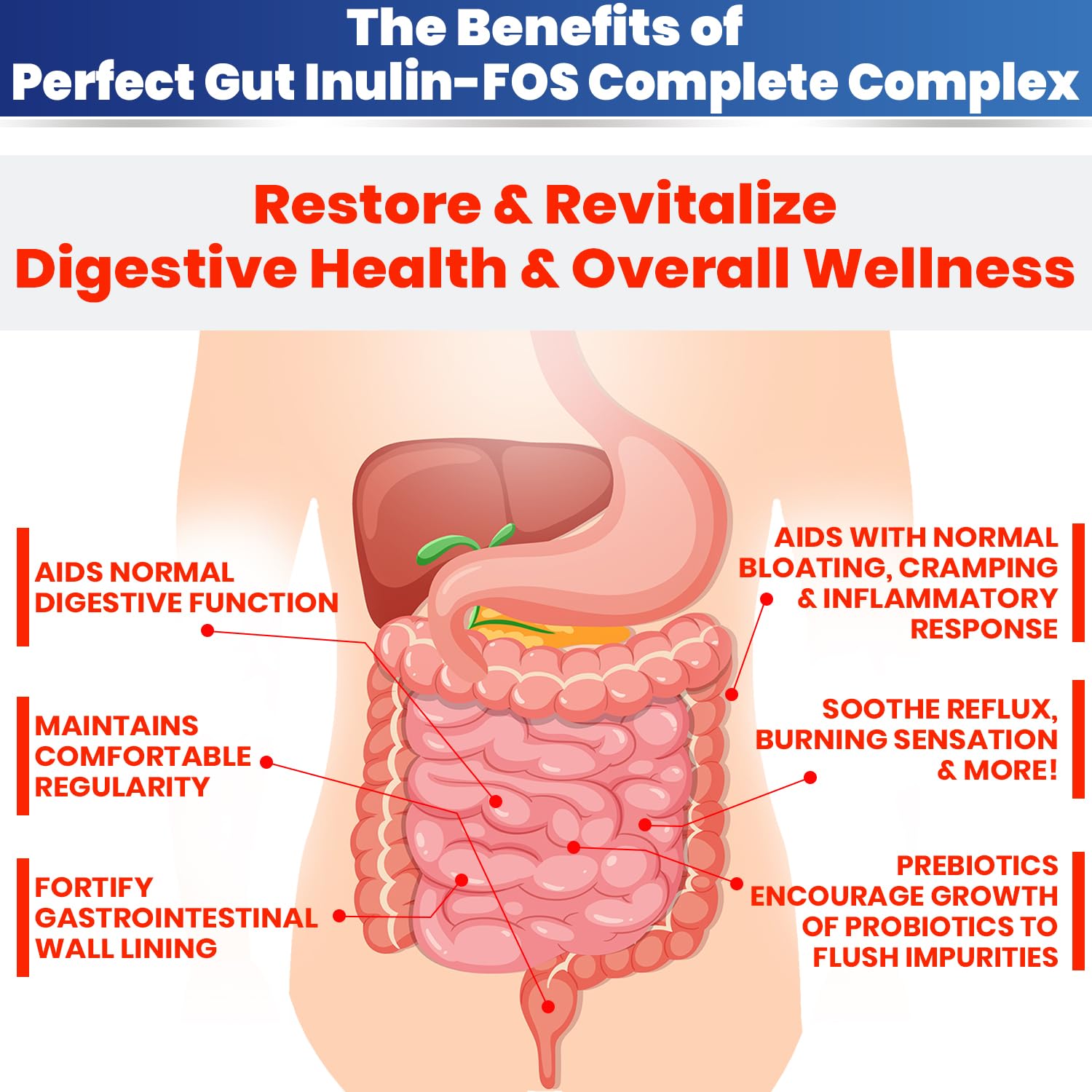 Kidney Restore Perfect Gut espolvoreado en yogur para prebióticos prácticos.
