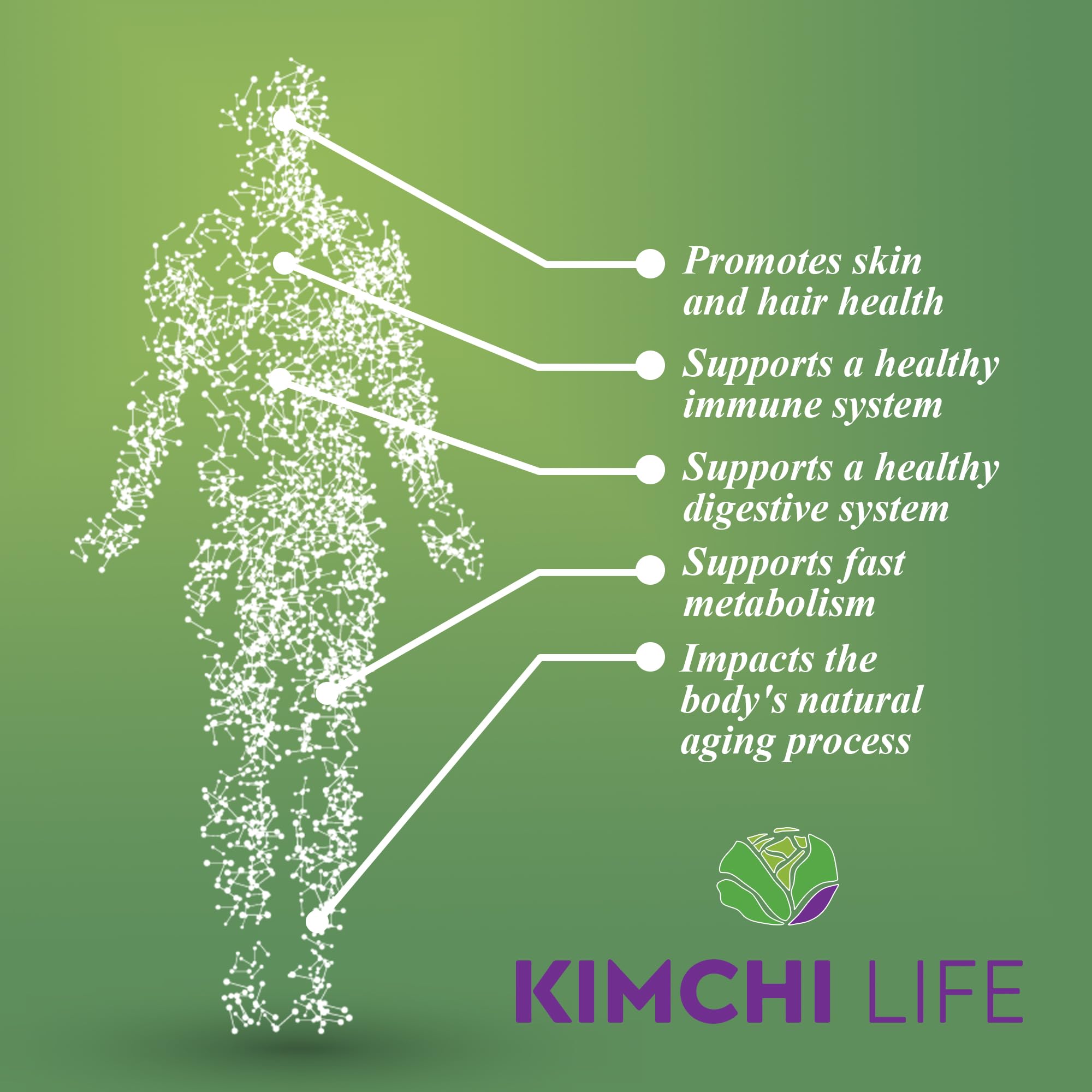 Kimchi Life empaque vegano y ecológico