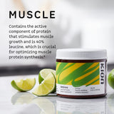 Kion Aminos: sabor Mezcla de Bayas para consumo delicioso.