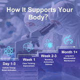Composición con CoQ10, PQQ, Vitamina C Ester y cacao para antioxidantes