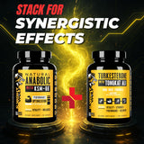 Kit visual para entrenamientos Knight Wolf Supps, uso diario.