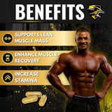 Producto sin GMO Knight Wolf Supps, compromiso de calidad.