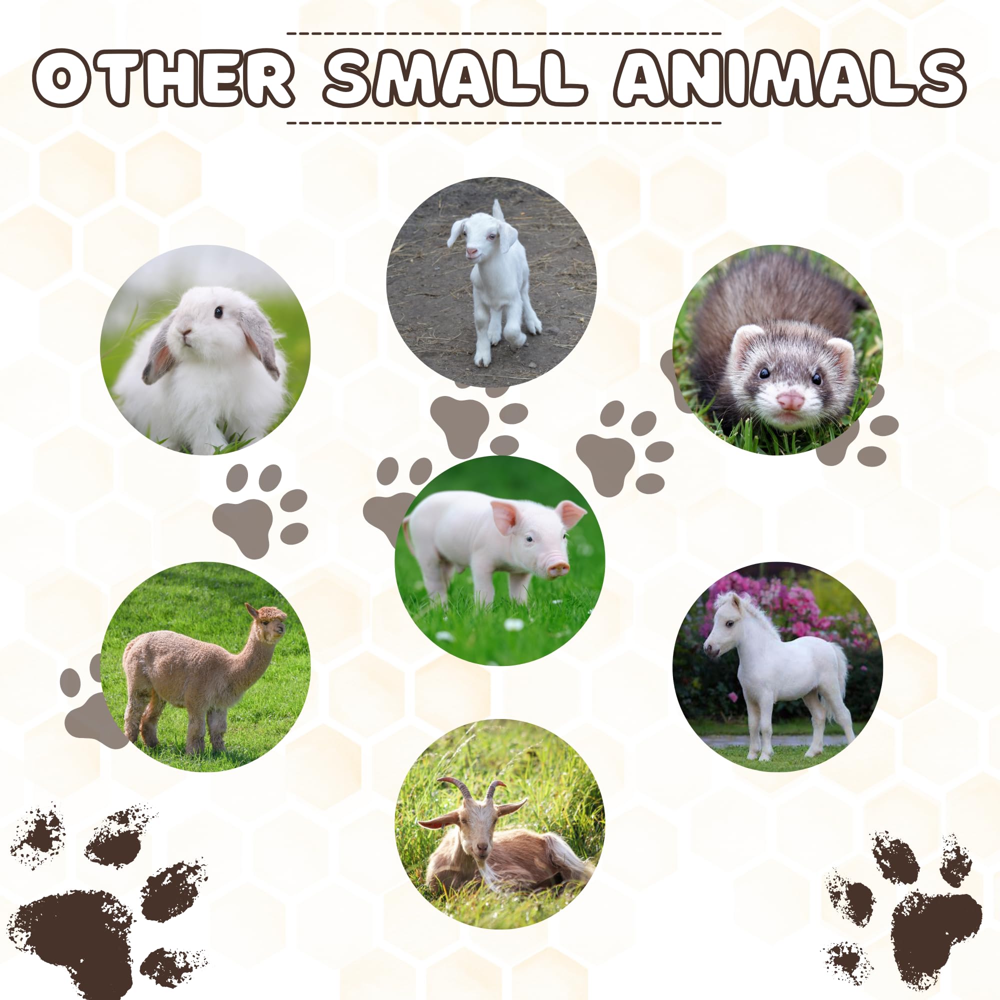Diseño confiable para uso veterinario, adaptado a uso doméstico seguro.