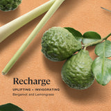 Sprig Recharge de Kohler: vela de cera soja y coco para combustión limpia.
