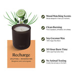 Sprig Recharge de Kohler: mecha de algodón sin plomo para quema suave.
