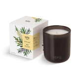 Kohler Sprig Shield: vela de aromaterapia para Tea Tree y Rosemary en ambiente relajante