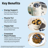 KOS batido de arándano con proteína vegetal para energía rápida.