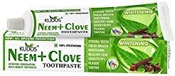 Kudos Neem Clavo pasta dental 100 g, cepillado diario, aliento fresco sostenido.