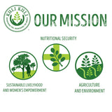 Kuli Kuli Moringa Greens Smoothie, origen Estados Unidos, calidad confiable.