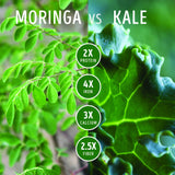 Kuli Kuli Moringa Greens Smoothie, sabor vainilla, experiencia sabrosa y conveniente.