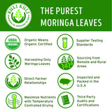 Kuli Kuli Moringa Greens Smoothie, 8 g proteína de guisante por porción, opción vegetal.