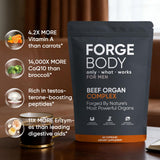KXVUDE Forgebody ingredientes clave, nutrientes para bienestar diario