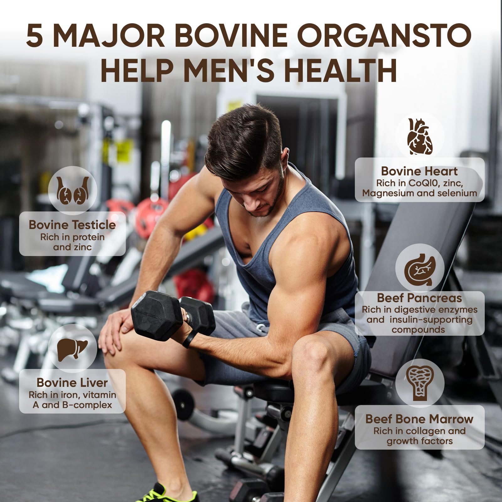 KXVUDE Forgebody mezcla de órganos de res, fuente de vitaminas y minerales