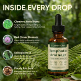 KXVUDE Lymphoria, absorción mejorada para ingredientes botánicos