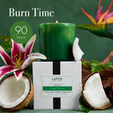 Notas frutales y florales de Jungle Bloom evocan jungla tropical en casa.