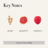 Aroma Champagne de LAFCO con notas cítricas y florales para ambientes.