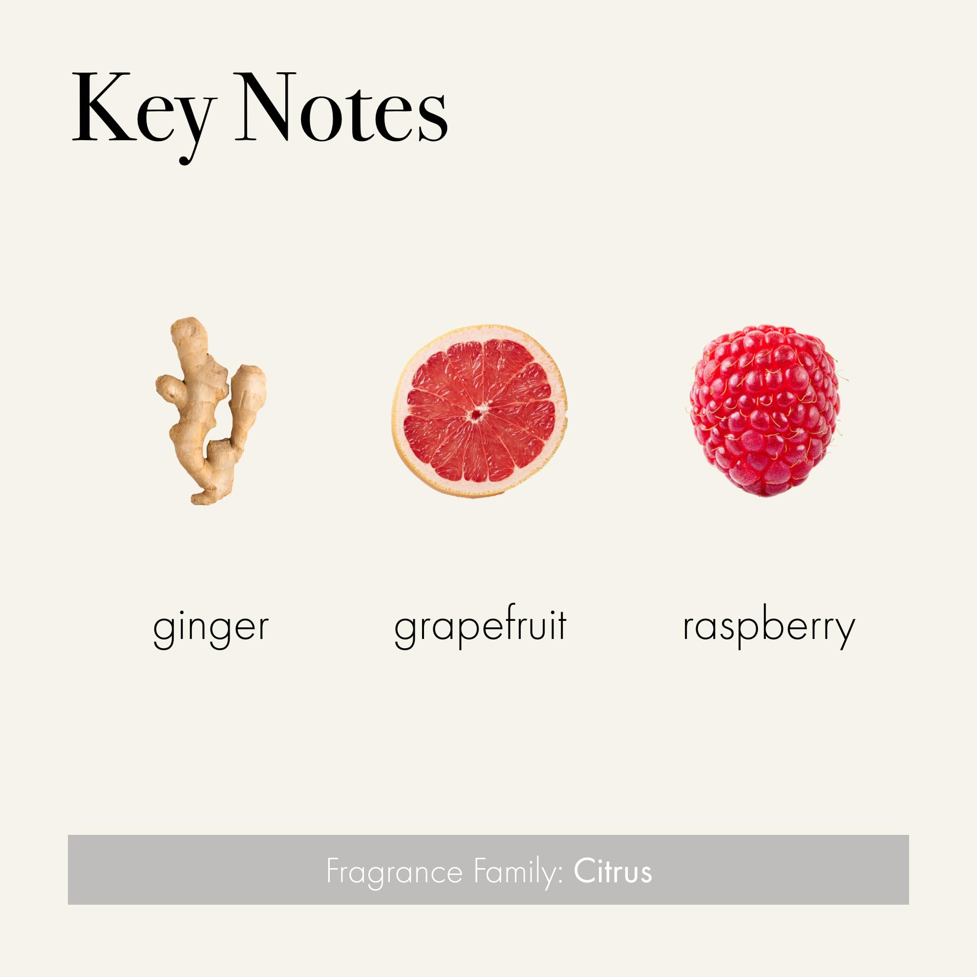 LAFCO New York Signature Candle Champagne, quemado lento, libera fragancia de forma gradual.