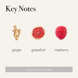 LAFCO New York Signature Candle Champagne, quemado lento, libera fragancia de forma gradual.