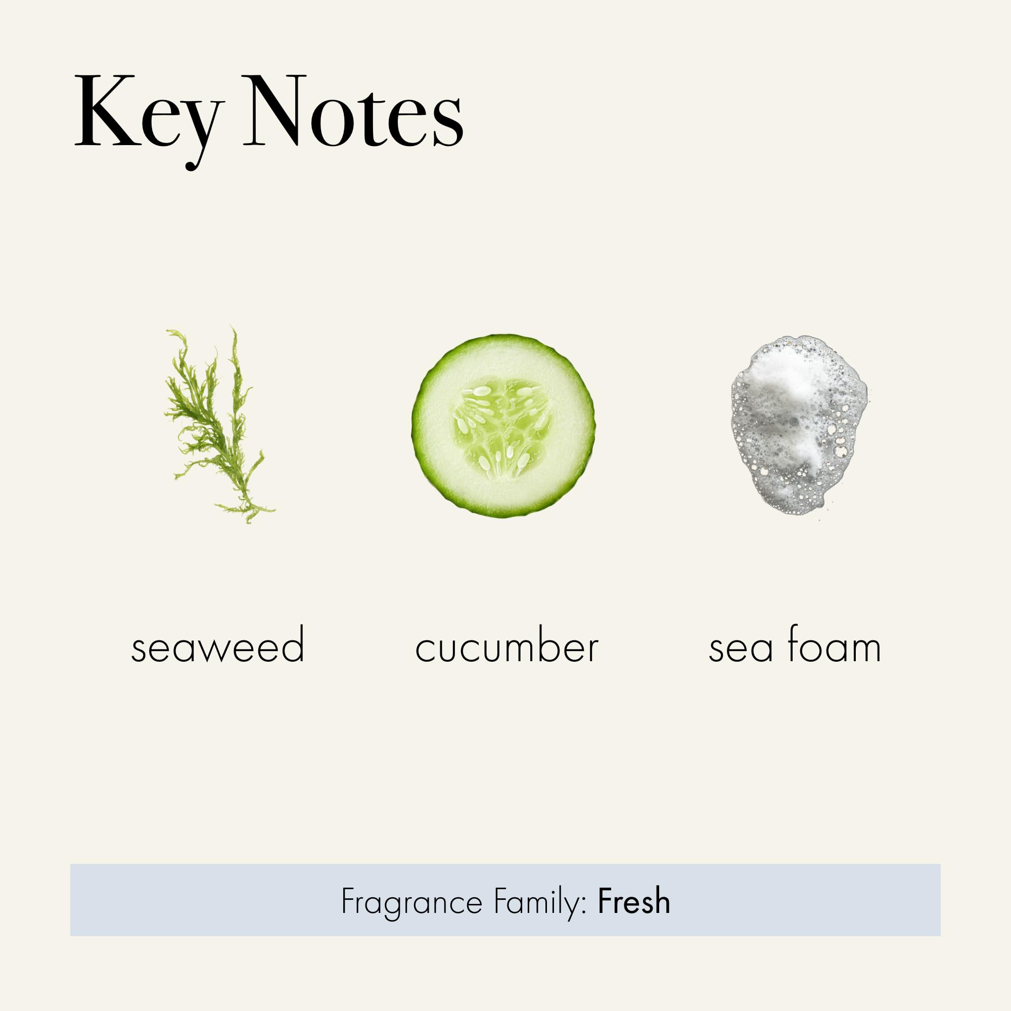 LAFCO New York Signature Candle Fog & Mist perfuma con pepino y rosas suaves.