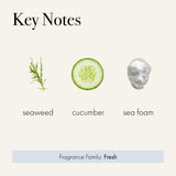 LAFCO New York Signature Candle Fog & Mist perfuma con pepino y rosas suaves.