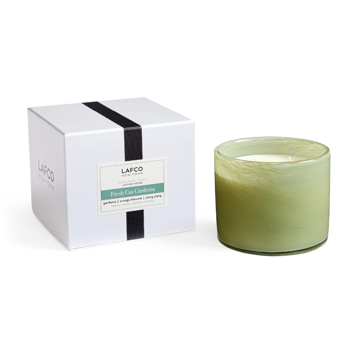 LAFCO New York vela tres-mechas Fresh Cut Gardenia para un ambiente floral duradero
