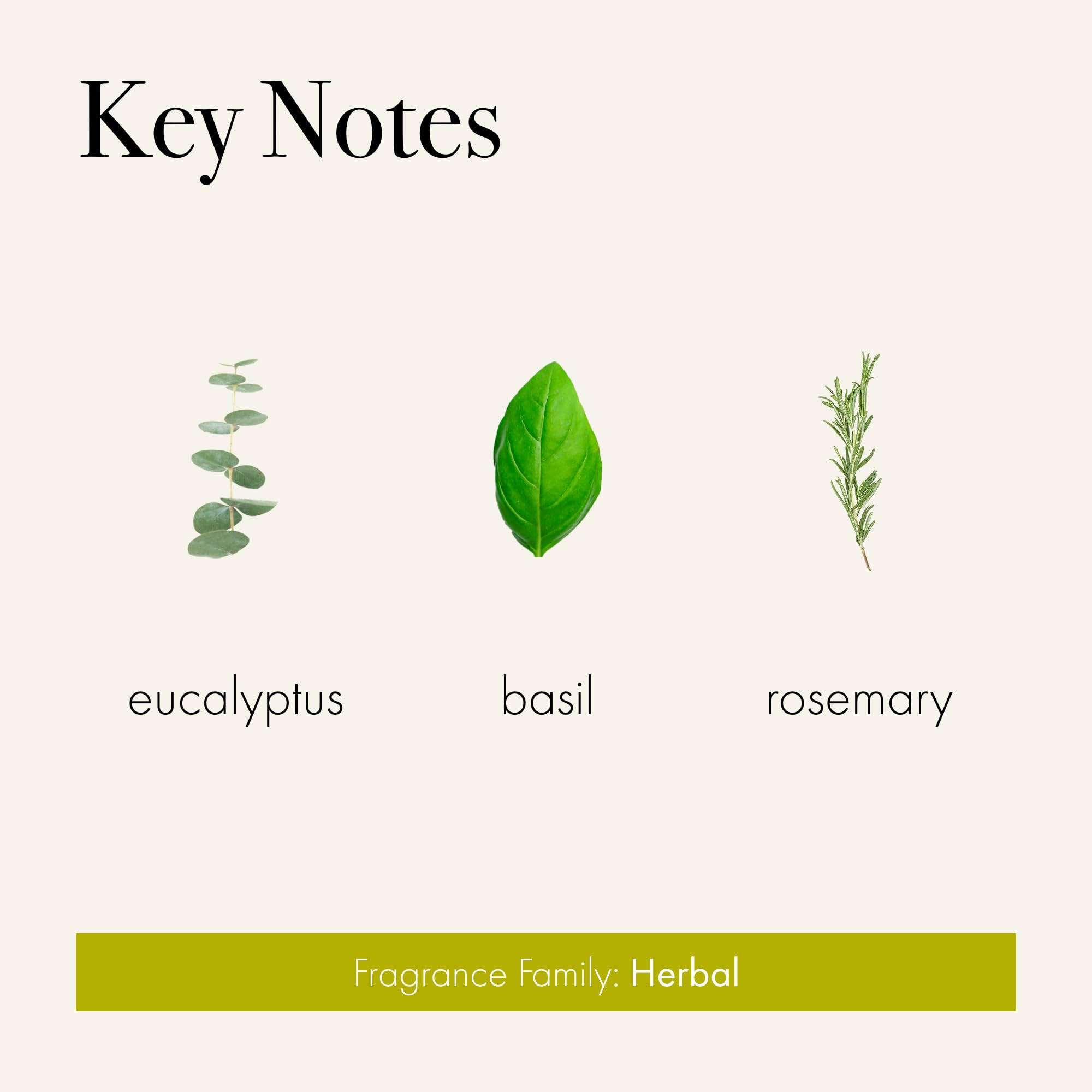 Aroma Rosemary Eucalyptus de LAFCO difundiéndose suavemente en la habitación