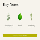 Aroma Rosemary Eucalyptus de LAFCO difundiéndose suavemente en la habitación