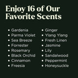 Lagunamoon caja regalo con 16 aceites aromáticos para aromaterapia