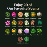 Lagunamoon Eucalipto: aroma para aromaterapia y respiración clara