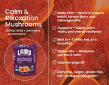 Laird Superfood Calma y Relajación lista para té o batido.
