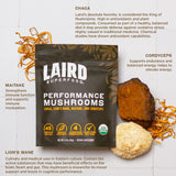 Laird Superfood: primer plano del micelio cultivado sobre avena orgánica.