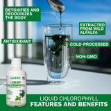 Land Art Liquido Clorofila Menta: vertido suave para mezclar con agua.