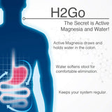 Lane Innovative H2Go: ideal para uso en casa y rutinas diarias