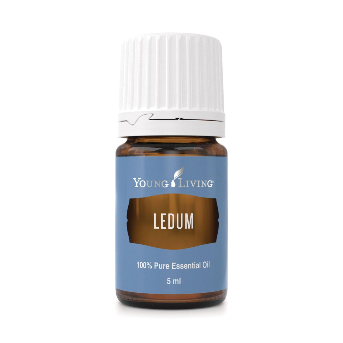 Ledum Premium: frasco de 5 ml listo para aromaterapia en meditaciones.